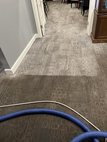 Carpet Cleaning