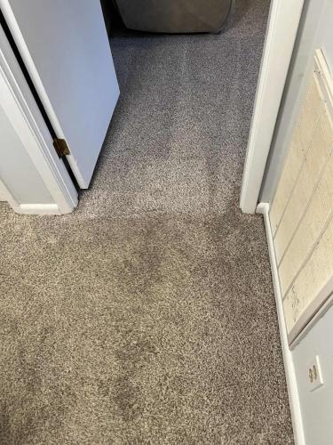 Carpet Cleaning Nashville Tennessee