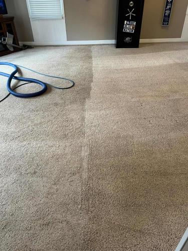 Carpet Cleaning Nashville Tennessee