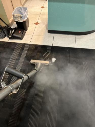 Carpet Cleaning