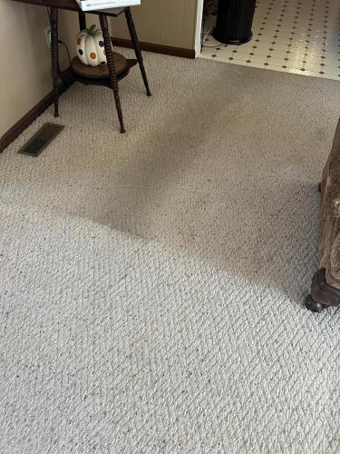 Carpet Cleaning
