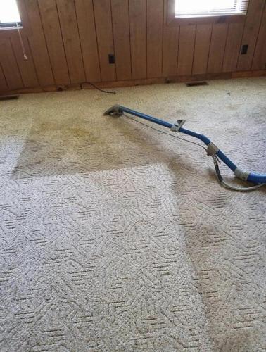 Carpet Cleaning