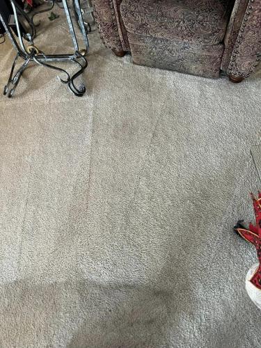 Carpet Cleaning