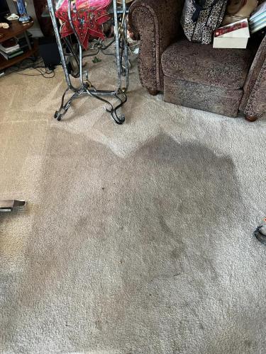 Carpet Cleaning