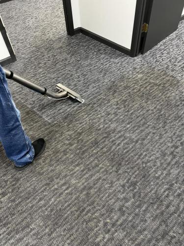 Carpet Cleaning